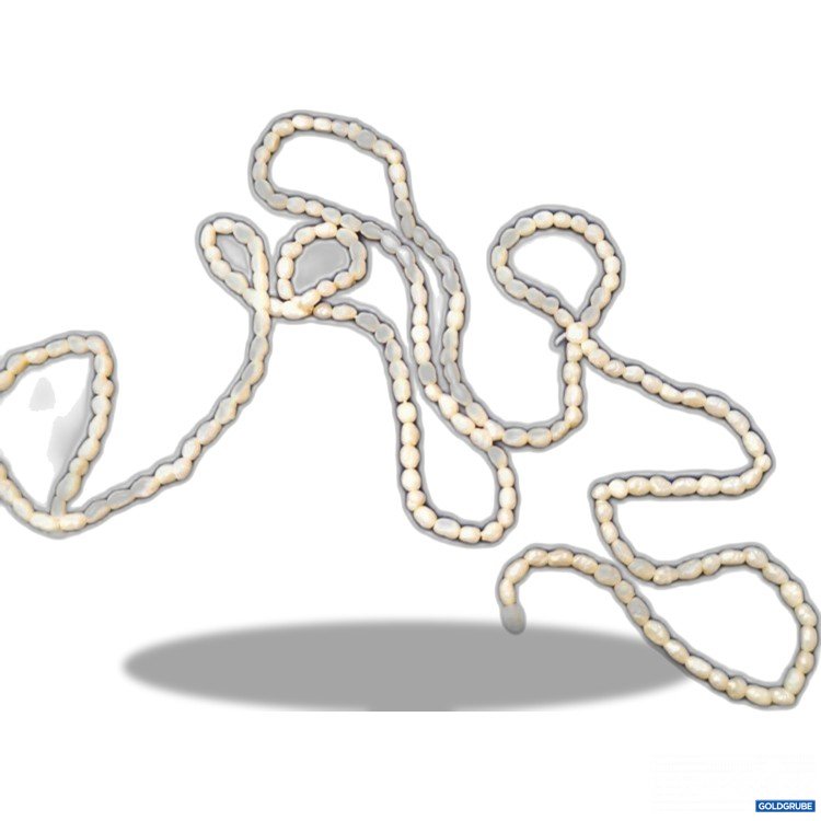 Artikel Nr. 786289: Auranta Halskette 