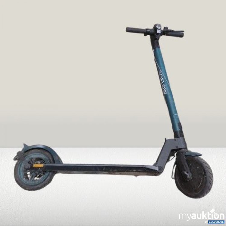 Artikel Nr. 750290 Artikel Nr. 750290: SQ Flow Elektro Scooter Grün