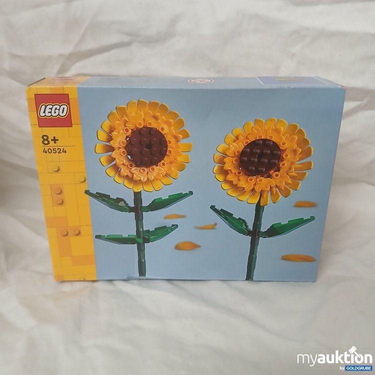 Artikel Nr. 361291: Lego 40524