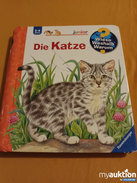 Artikel Nr. 398293: Wieso? Weshalb? Warum? 