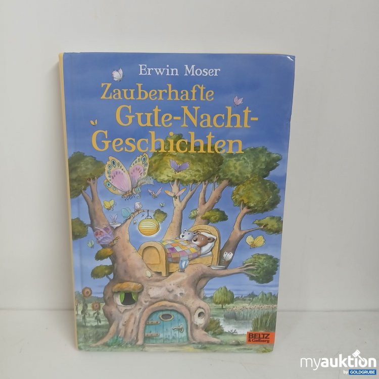 Artikel Nr. 828293 Artikel Nr. 828293: Gute-Nacht-Geschichtenbuch