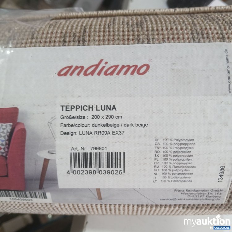 Artikel Nr. 444294 Artikel Nr. 444294: Andiamo Teppich Luna 200x290cm Dunkelbeige