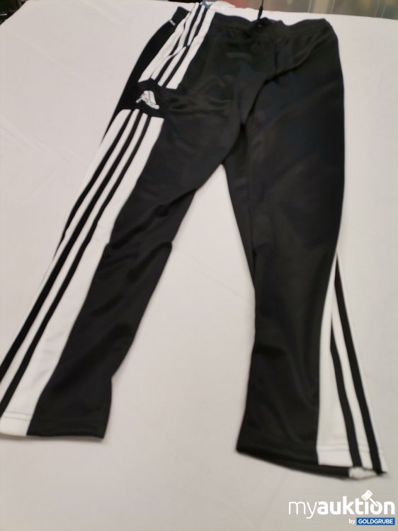 Artikel Nr. 824294 Artikel Nr. 824294: Adidas Sq21Tr Pant