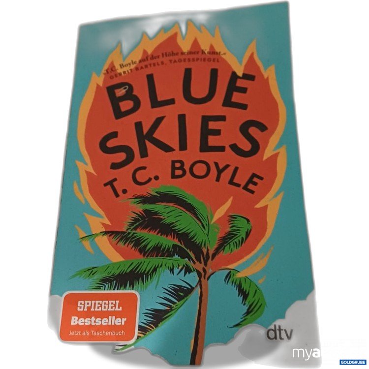 Artikel Nr. 957294: T.C. Boyle Blue Skies Taschenbuch