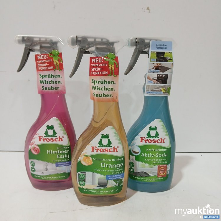 Artikel Nr. 464297: Frosch diverse Reinigungsartikel 3x 500ml