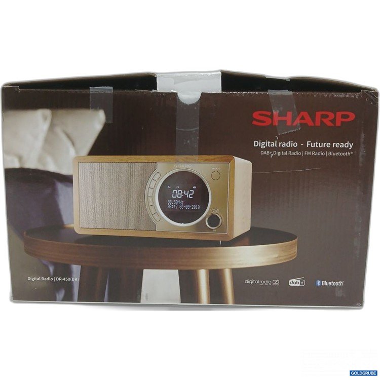 Artikel Nr. 921297: SHARP Digital Radio DR-450(BR)
