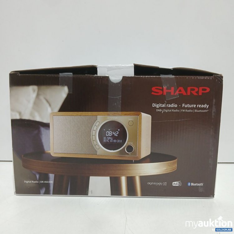 Artikel Nr. 921297: SHARP Digital Radio DR-450(BR)