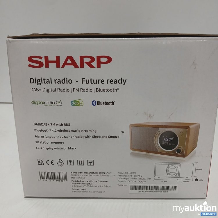Artikel Nr. 921297: SHARP Digital Radio DR-450(BR)