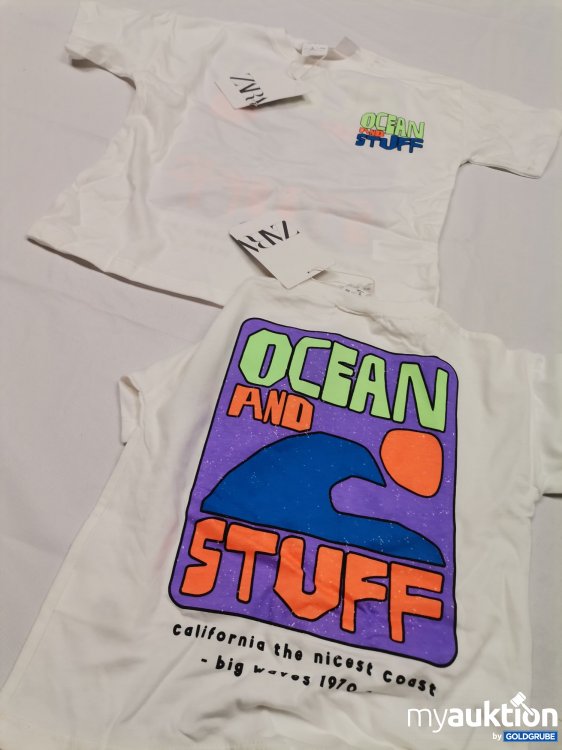 Artikel Nr. 841298: Zara Shirt 