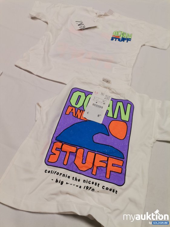 Artikel Nr. 841299: Zara Shirt 