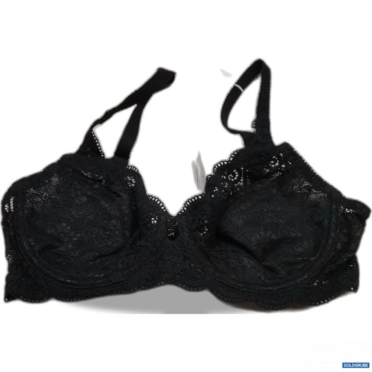 Artikel Nr. 742300: Triumph BH