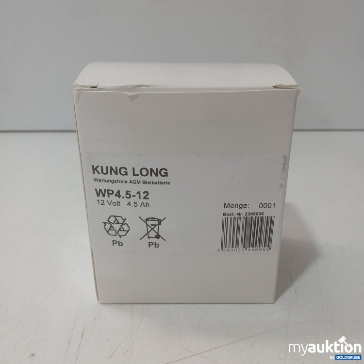 Artikel Nr. 469304 Artikel Nr. 469304: KUNG LONG AGM Bleiakku 12 V 4,5 Ah WP4.5-12