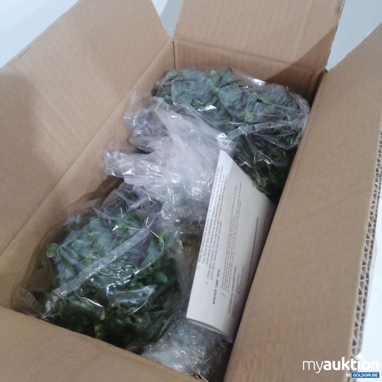 Auktionen und Versteigerungen online bei MyAuktion 1 Packung Solar