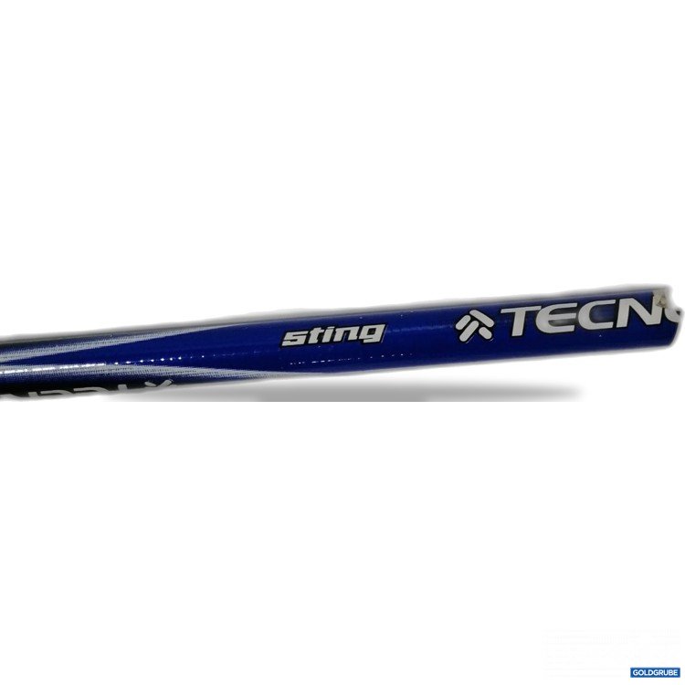 Artikel Nr. 441311: TECNOPRO Sting Langlaufstock ca 135cm