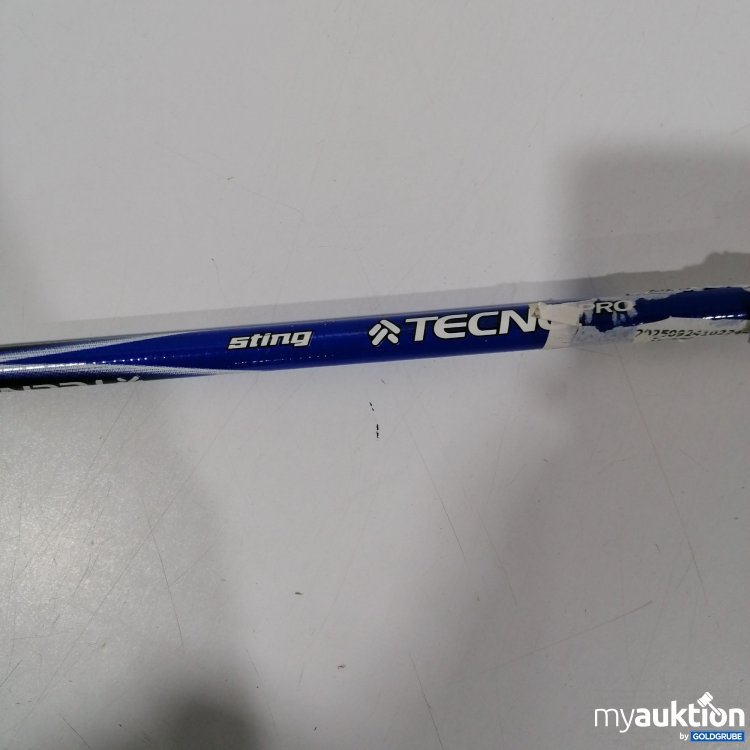 Artikel Nr. 441311: TECNOPRO Sting Langlaufstock ca 135cm