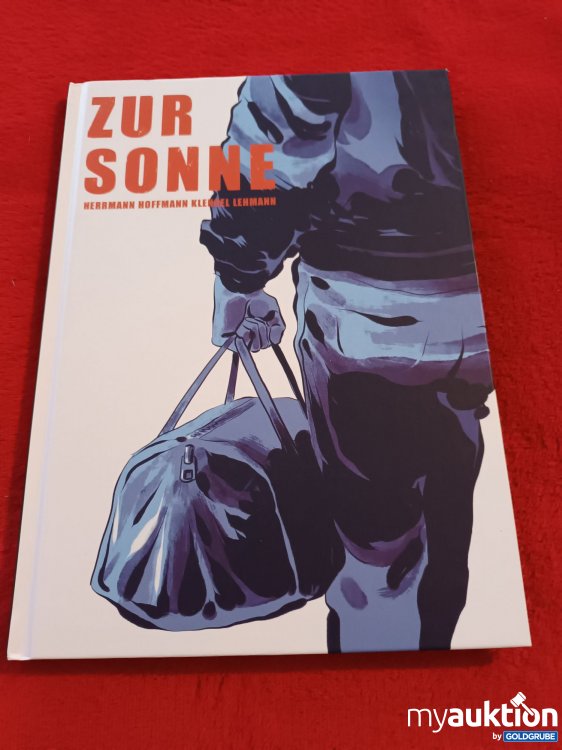 Artikel Nr. 907313: Buch, Zur Sonne