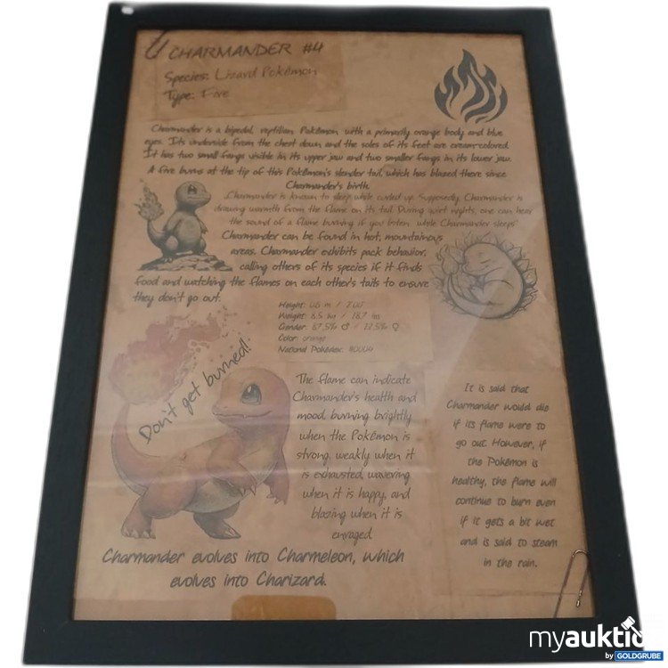 Artikel Nr. 922315: Charmander Pokémon Poster Typ: Fünf A4