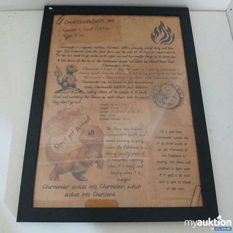 Artikel Nr. 922315: Charmander Pokémon Poster Typ: Fünf A4
