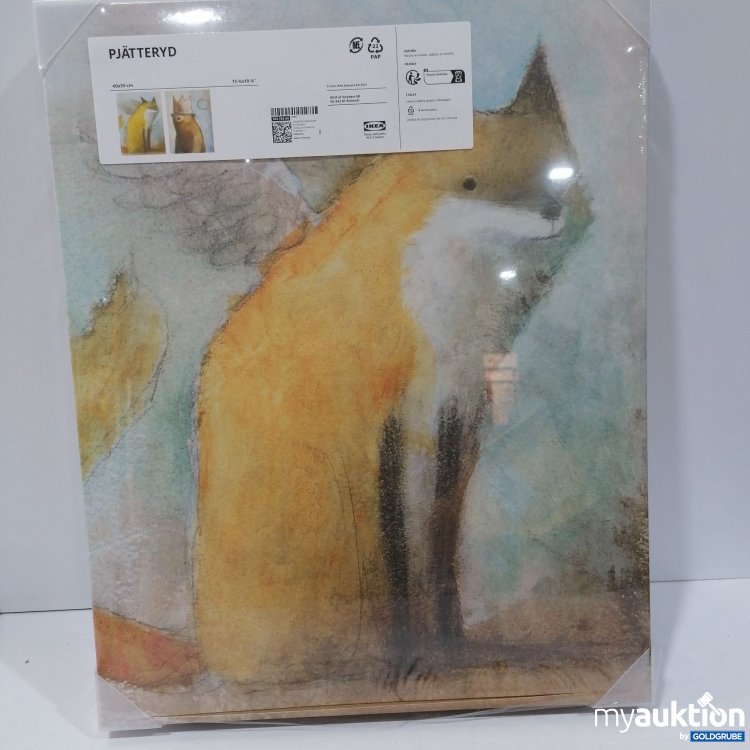 Artikel Nr. 875317: Ikea Pjätteryd2Stk 40×50cm