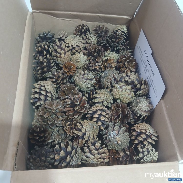 Artikel Nr. 977318 Artikel Nr. 977318: Tannenzapfen Sylvestris-Zapfen verpackt 1kg Waldkiefer