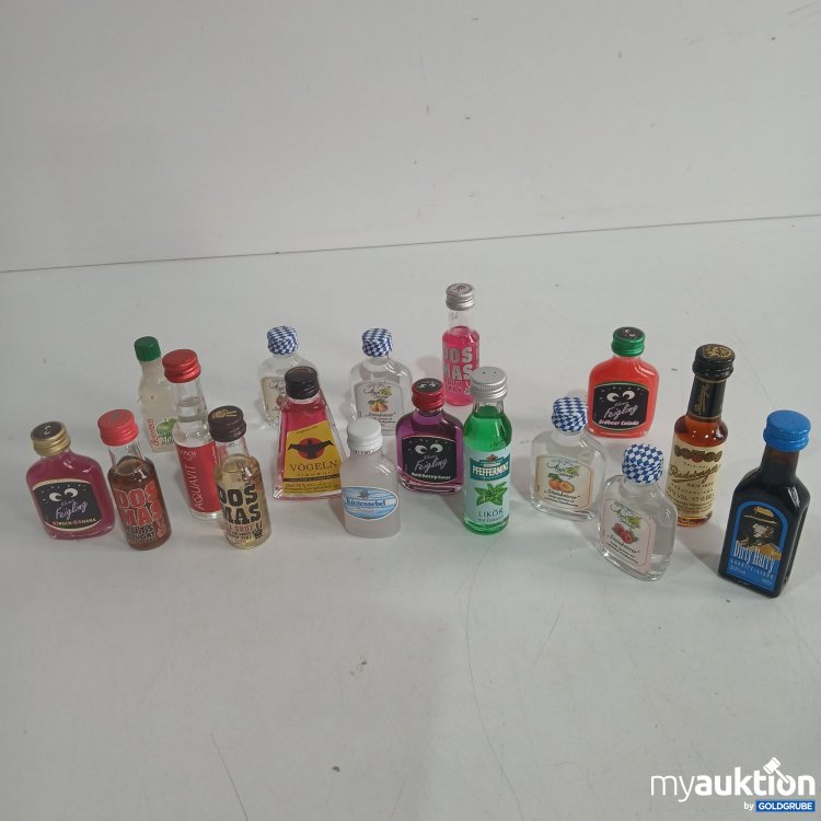 Artikel Nr. 397319 Artikel Nr. 397319: Diverse Mini Schnäpse/Liköre 20ml