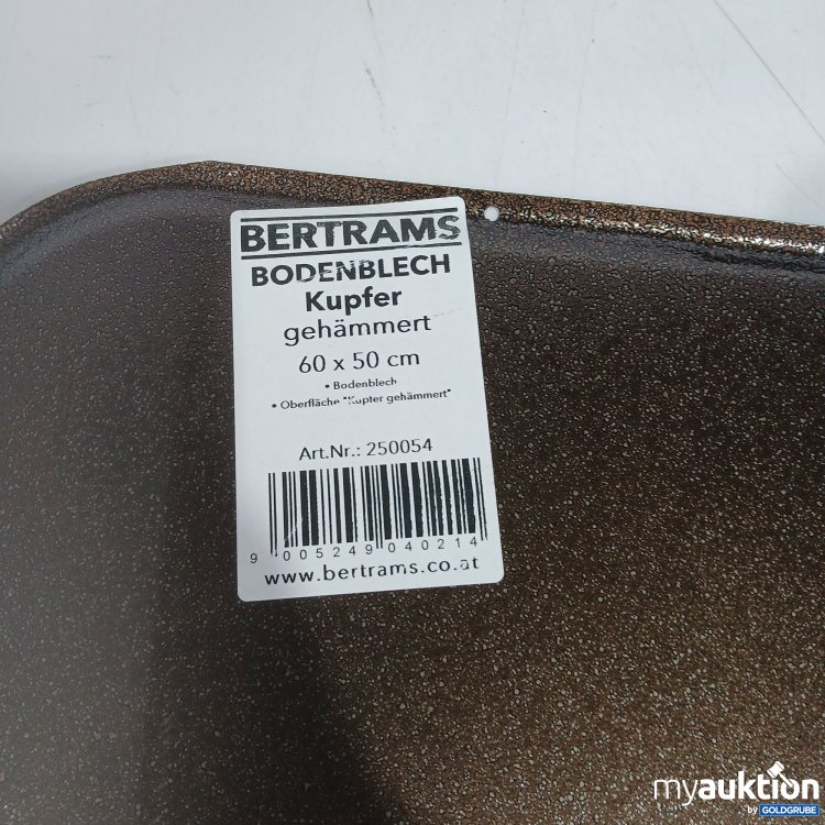 Artikel Nr. 519319 Artikel Nr. 519319: Bertrams Bodenblech 60x50cm Kupfer