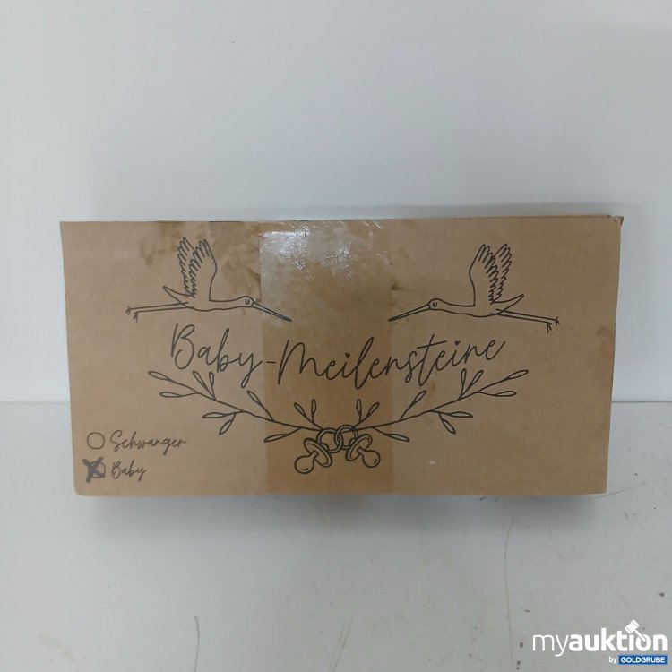 Artikel Nr. 900319: Baby-Meilensteine