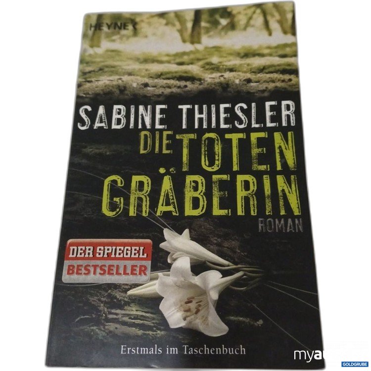 Artikel Nr. 957319: Sabine Thiesler die Totengräberin Roman