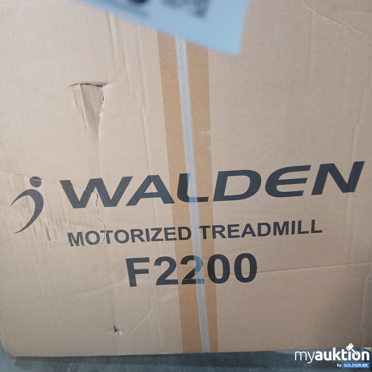 Artikel Nr. 438320: Walden Motorized Treadmill F2200