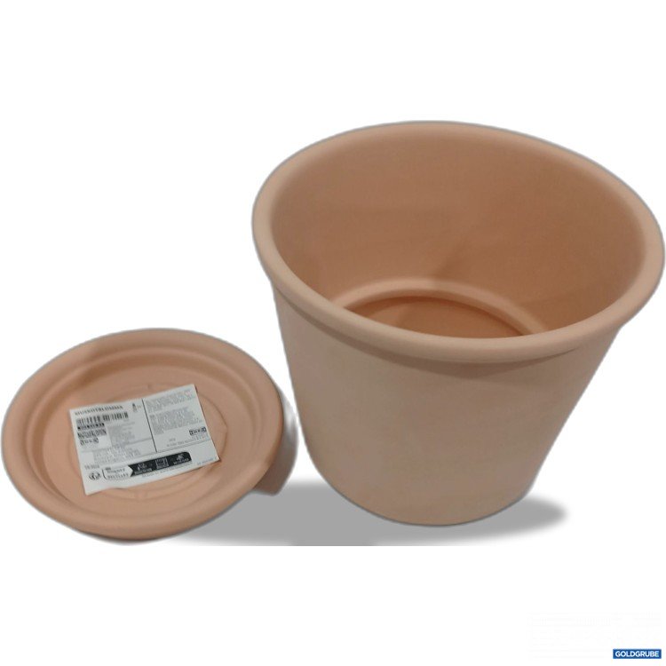 Artikel Nr. 885321: Ikea Muskotblomma 30454891 mit Untersetzer  