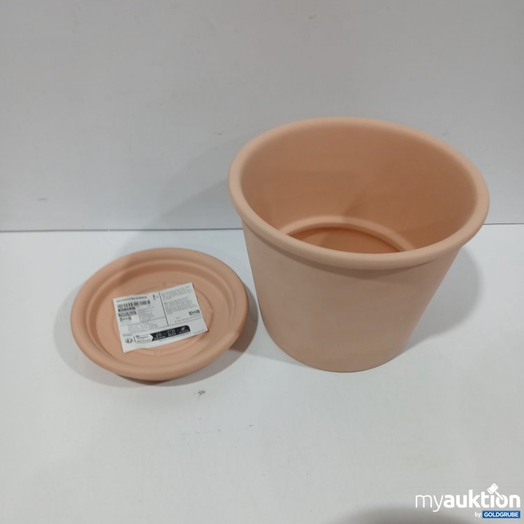 Artikel Nr. 885321: Ikea Muskotblomma 30454891 mit Untersetzer  