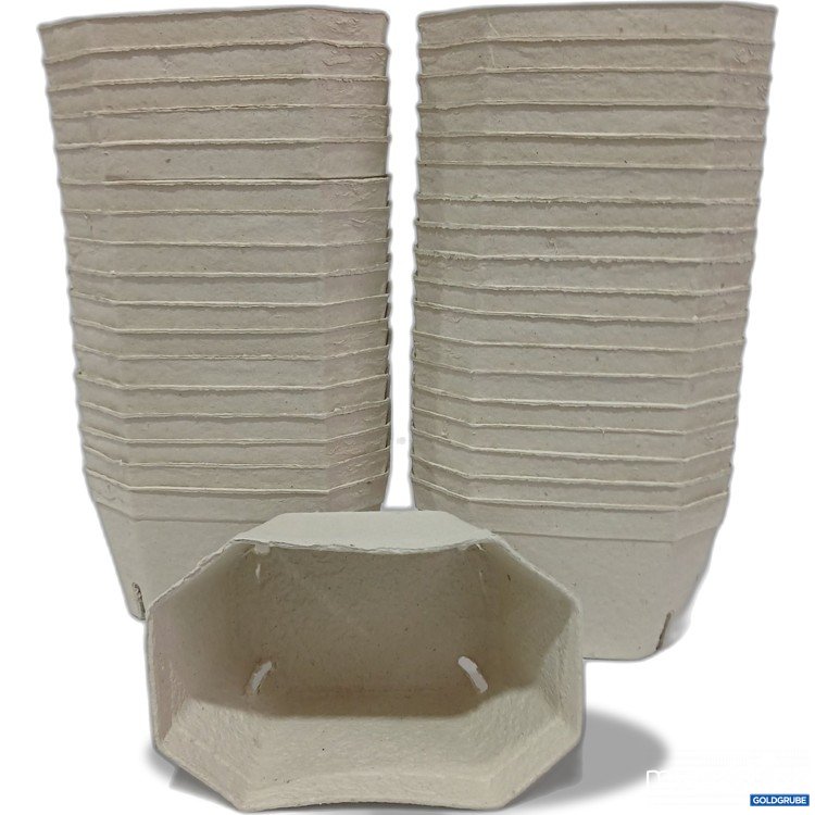 Artikel Nr. 956323: Fruchtschalen aus Papier 