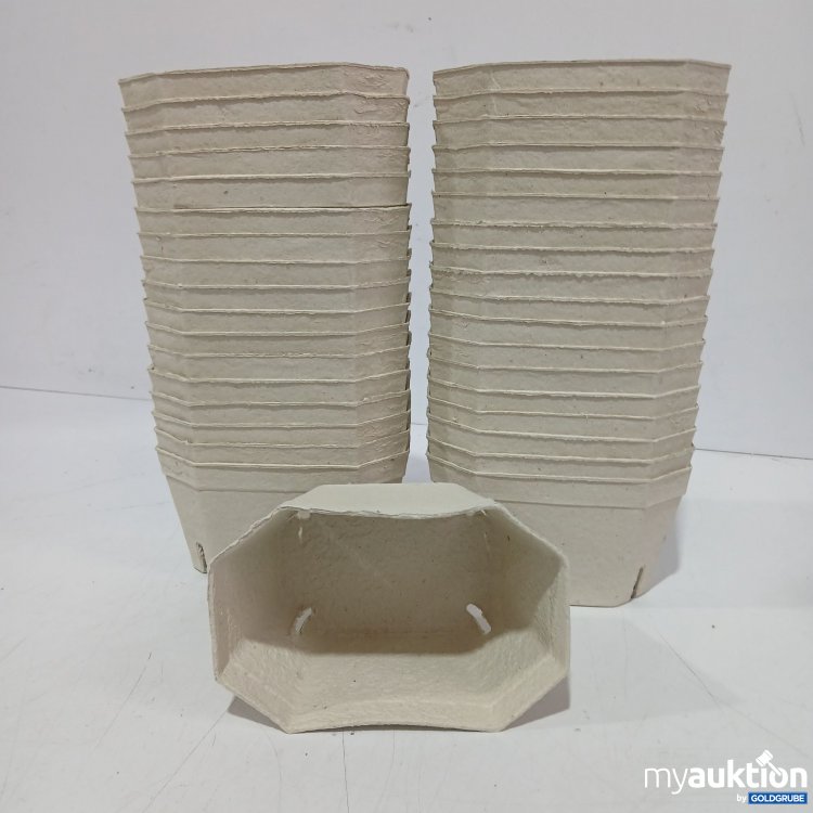 Artikel Nr. 956323: Fruchtschalen aus Papier 