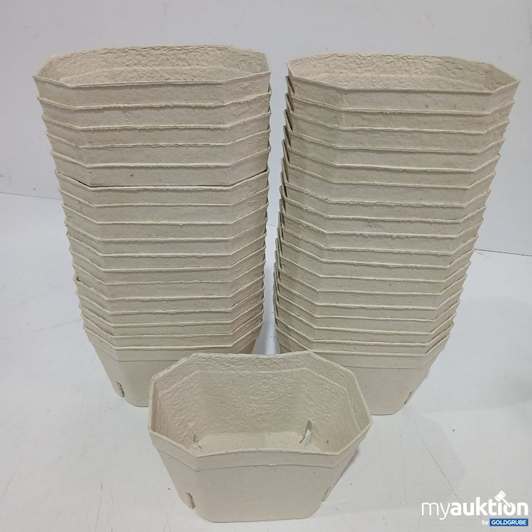 Artikel Nr. 956323: Fruchtschalen aus Papier 