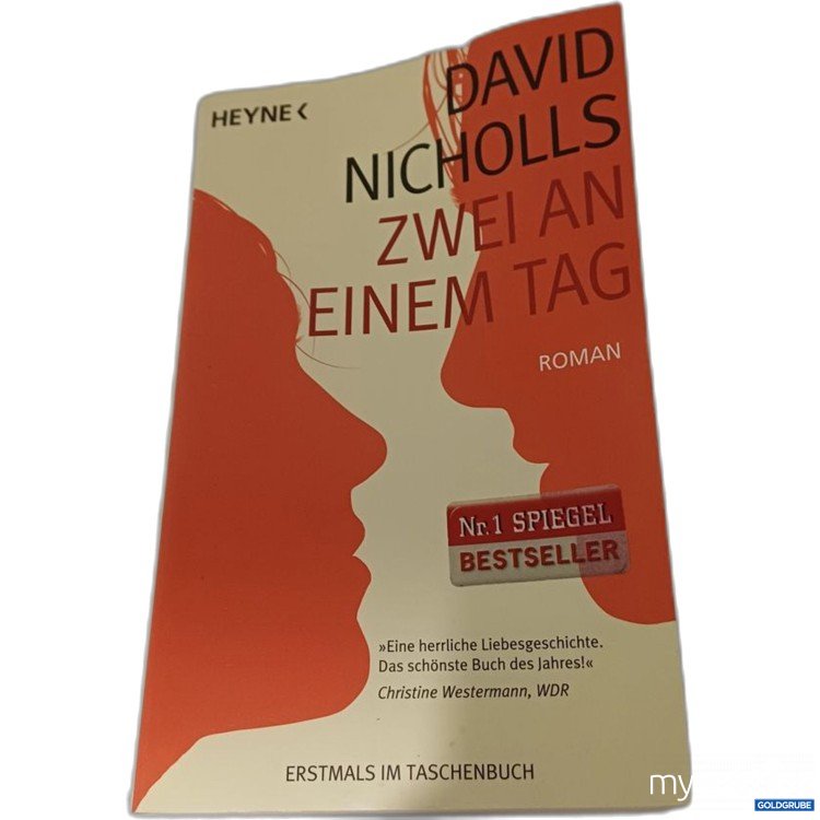 Artikel Nr. 957324: Heyne Zwei an einem Tag Roman