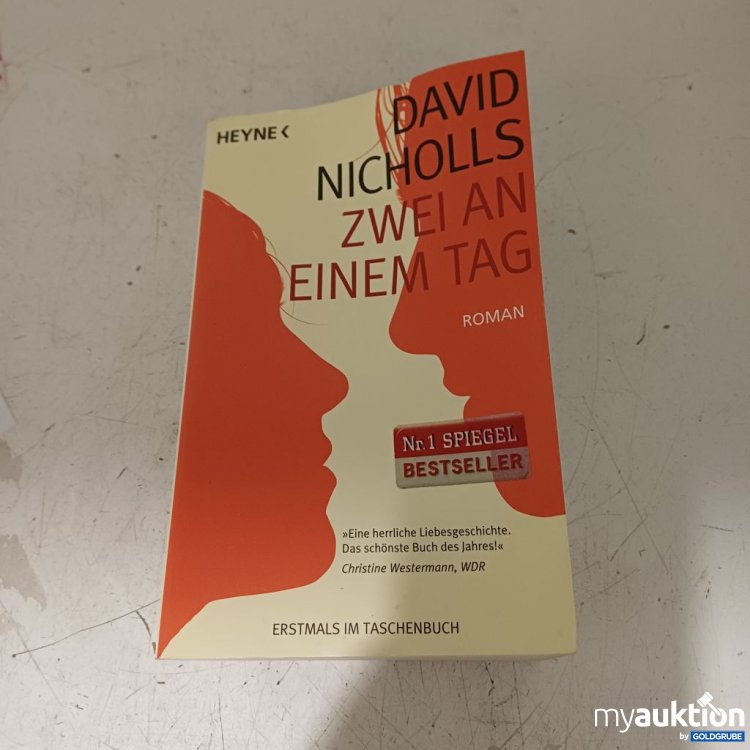 Artikel Nr. 957324: Heyne Zwei an einem Tag Roman