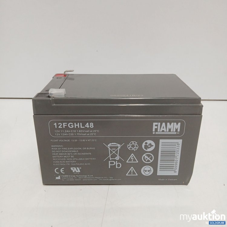 Artikel Nr. 523328: FIAMM Batterie 12FGHL48 