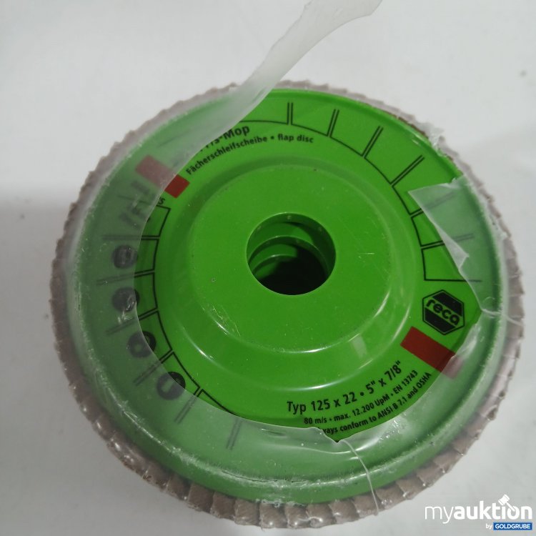 Artikel Nr. 524331 Artikel Nr. 524331: Reca Fächerschleifscheibe Typ 125x22