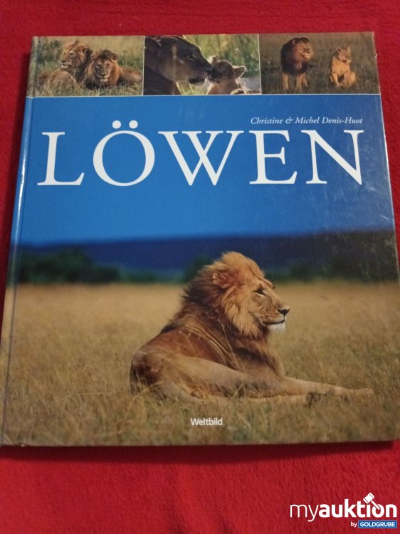 Artikel Nr. 927331: Löwen 