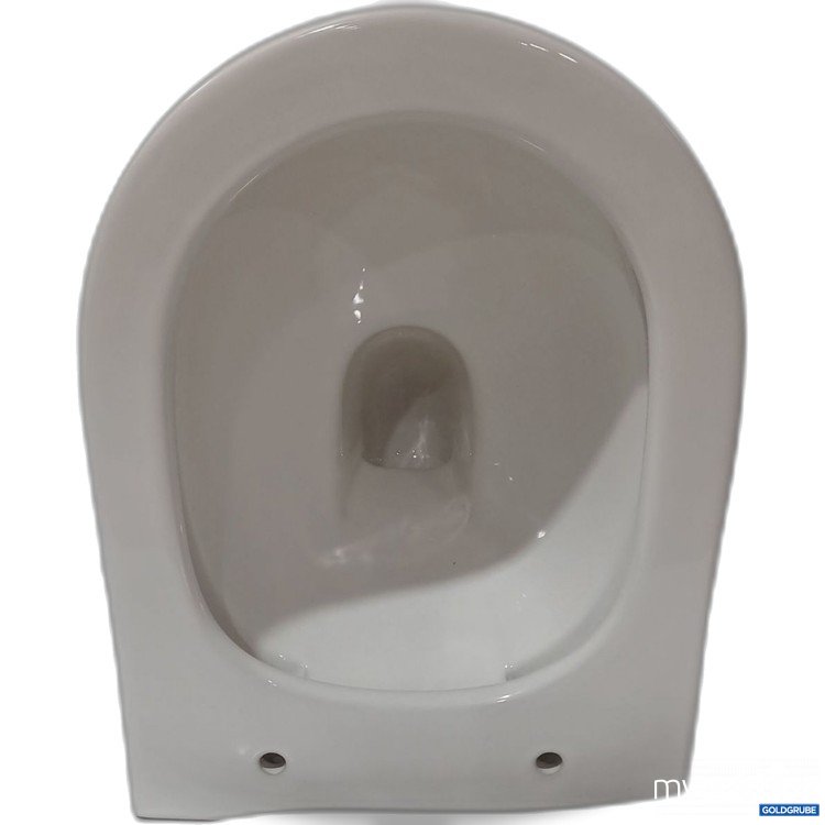 Artikel Nr. 971333 Artikel Nr. 971333: Diverse Toilettenschüssel inkl. Deckel und Brille