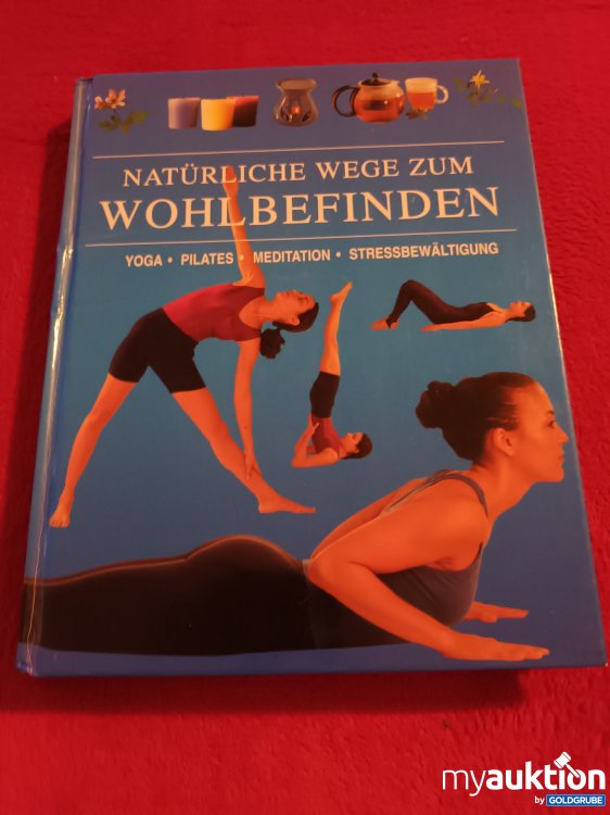 Artikel Nr. 927335: Natürliche Wege zum Wohlbefinden 