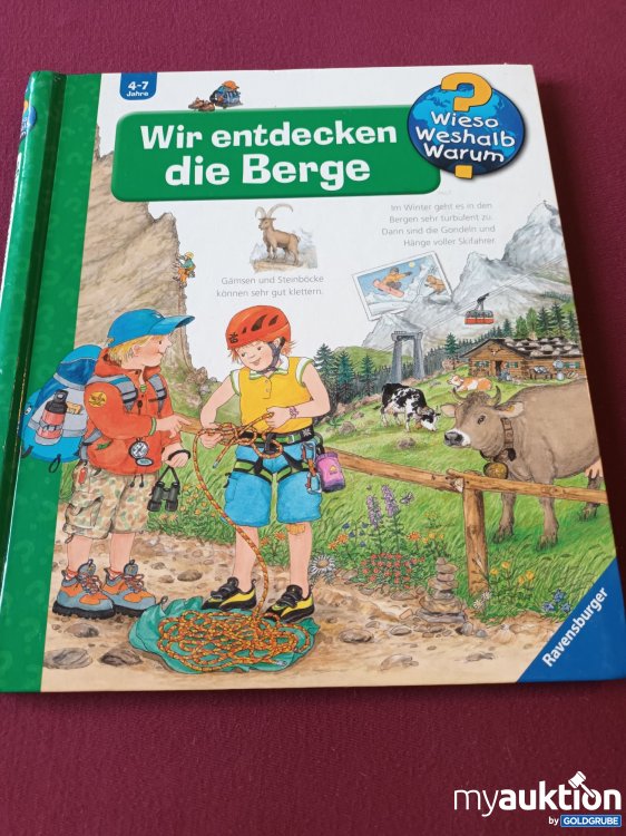 Artikel Nr. 999341 Artikel Nr. 999341: Großes Wieso, Weshalb, Warum Buch