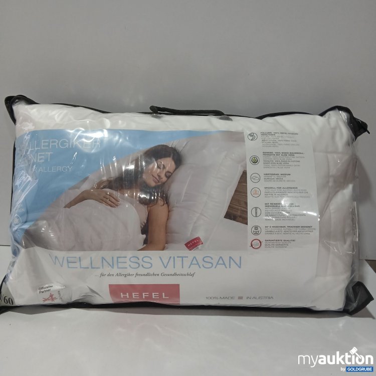 Artikel Nr. 900350 Artikel Nr. 900350: Hügel Wellness Vitasan Kissen 40/60