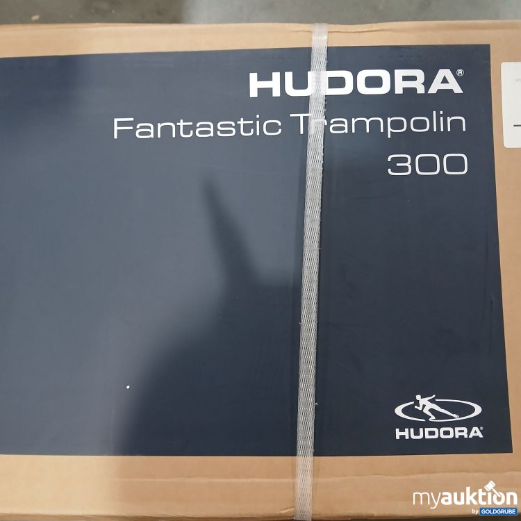 Artikel Nr. 900351: Hundora Fantashic Trampolin 300 