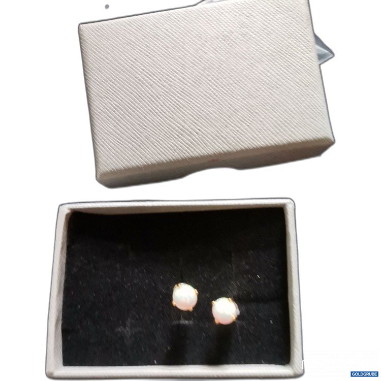 Artikel Nr. 786353: Ohrstecker 