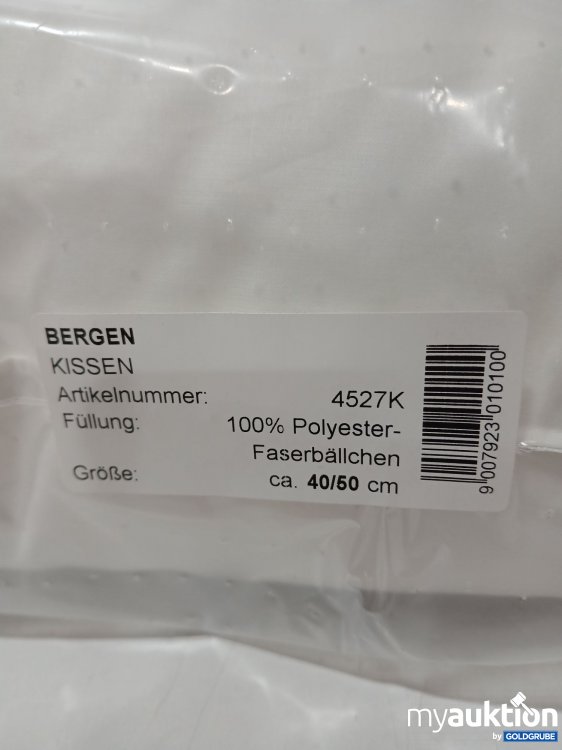 Artikel Nr. 900353 Artikel Nr. 900353: Bergen Kissen 40/50cm 4527K