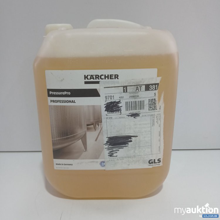 Artikel Nr. 518354 Artikel Nr. 518354: Kärcher PressurePro Professional 10l