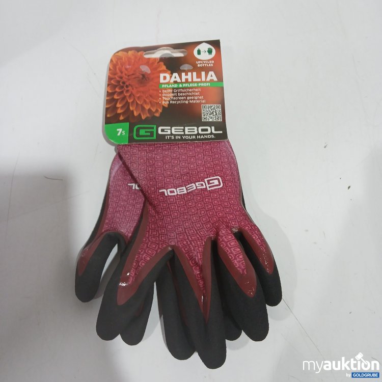 Artikel Nr. 897354: Gebol Pflanz & Pflege Gartenhandschuhe 