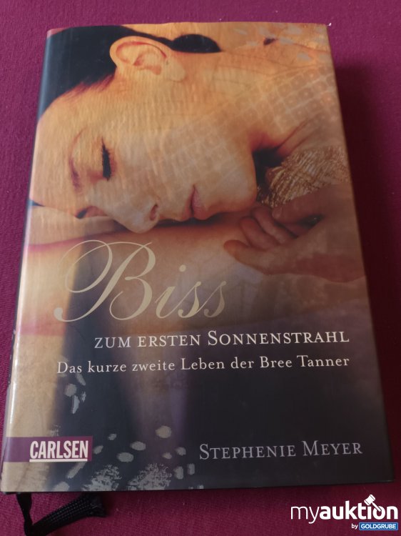 Artikel Nr. 999354 Artikel Nr. 999354: Biss zum ersten Sonnenstrahl