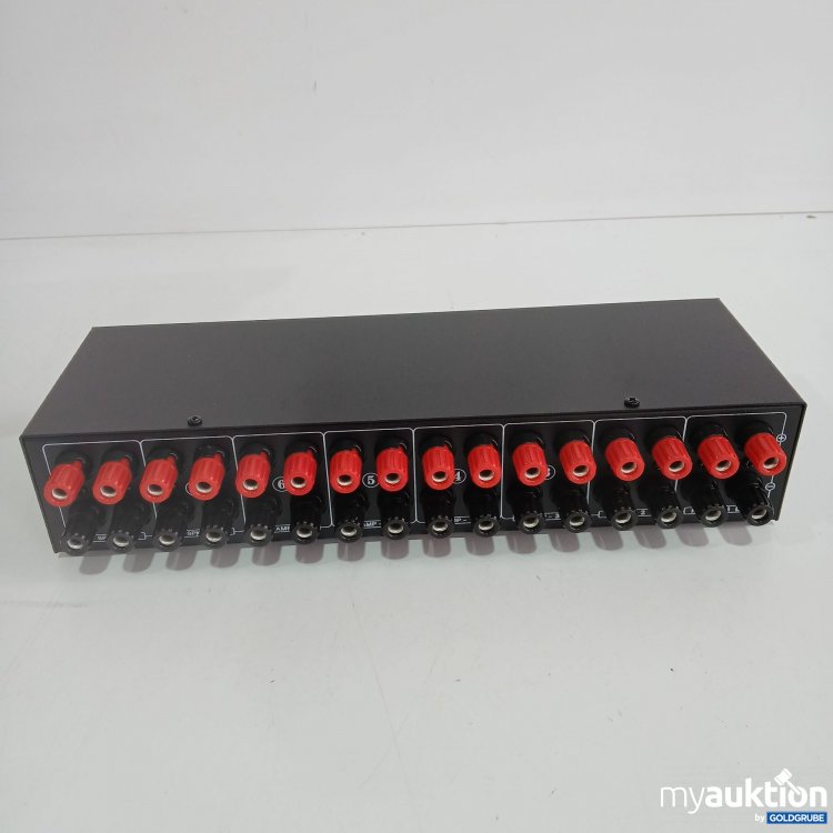 Artikel Nr. 811357 Artikel Nr. 811357: Lynepauaio 6Amplifier in 2 Speaker out Selector